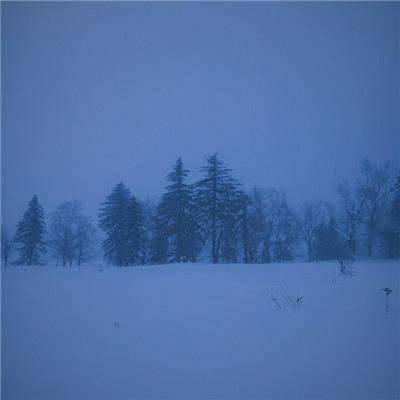 竞技宝app最新版本